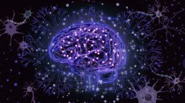 Universal Design in Learning (1)