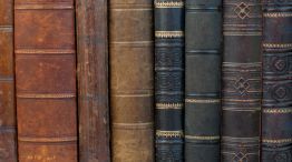 Department Syllabi card